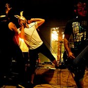 The Bunny The Bear - List pictures