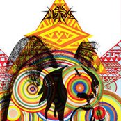 An Albatross - List pictures