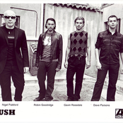 Bush - List pictures