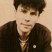 Bish - List pictures