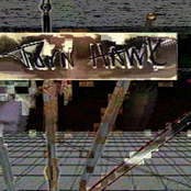 Torn Hawk - List pictures