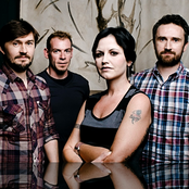 Cranberries - List pictures