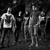 Protest The Hero - List pictures