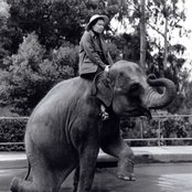 Pauline Oliveros - List pictures