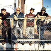 The Falcon - List pictures