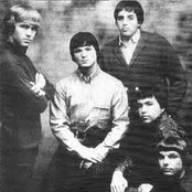 The Electric Prunes - List pictures