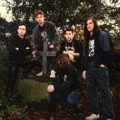 Blood - List pictures