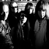 The Fuzztones - List pictures