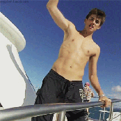 Robin - List pictures