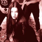 Sinergy - List pictures