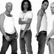 Brings - List pictures