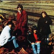 Seeds - List pictures