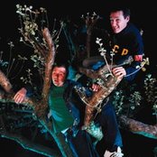 Fila Brazillia - List pictures