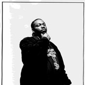 Beanie Sigel - List pictures