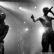 The Opposites - List pictures