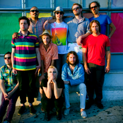 Fool's Gold - List pictures