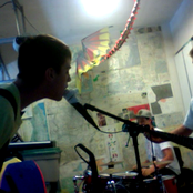 Green Grass - List pictures