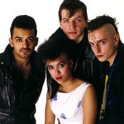 Bow Wow Wow - List pictures