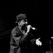 Phil Ade - List pictures