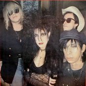 The Gun Club - List pictures