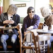 22-pistepirkko - List pictures