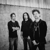 Newsted - List pictures
