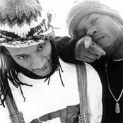 Cocoa Brovaz - List pictures