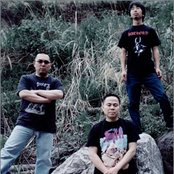 Coffins - List pictures