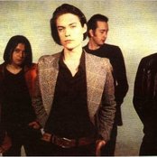 The London Suede - List pictures