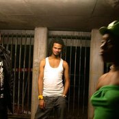 The Bug - List pictures