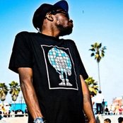 Joe Cool - List pictures