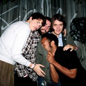 Miniature Tigers - List pictures