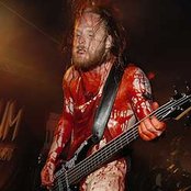 Bile - List pictures