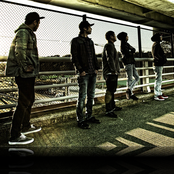 Fact - List pictures