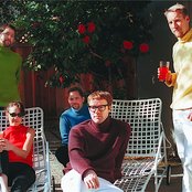 The Orange Peels - List pictures