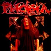 Phobia - List pictures