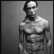 Pop Iggy - List pictures
