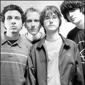 Flashlight Brown - List pictures