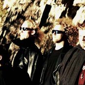 Mithotyn - List pictures