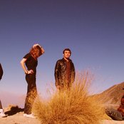 Hello Seahorse - List pictures