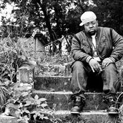 Big Sant - List pictures