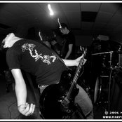 The Banner - List pictures