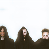 The Acid - List pictures