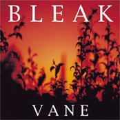 Bleak - List pictures