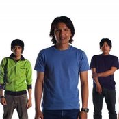 Caffeine - List pictures