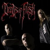 Deeds Of Flesh - List pictures