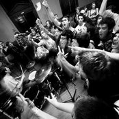 Spraynard - List pictures