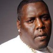 Guerilla Black - List pictures