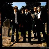 The Coral - List pictures