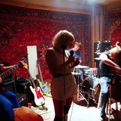 A Giant Dog - List pictures